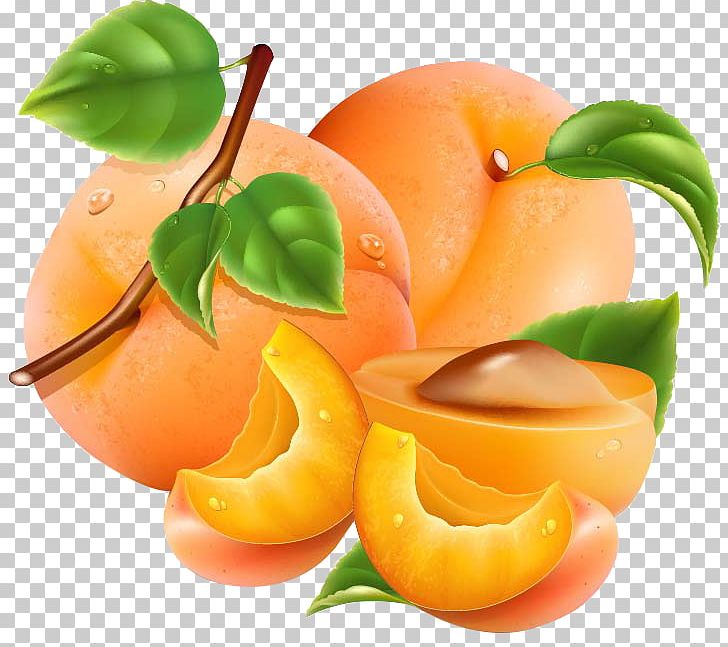 Apricot Auglis Peach Orange Vegetable PNG, Clipart, Apricots Vector, Auglis, Bouea Macrophylla, Diet Food, Euclidean Vector Free PNG Download