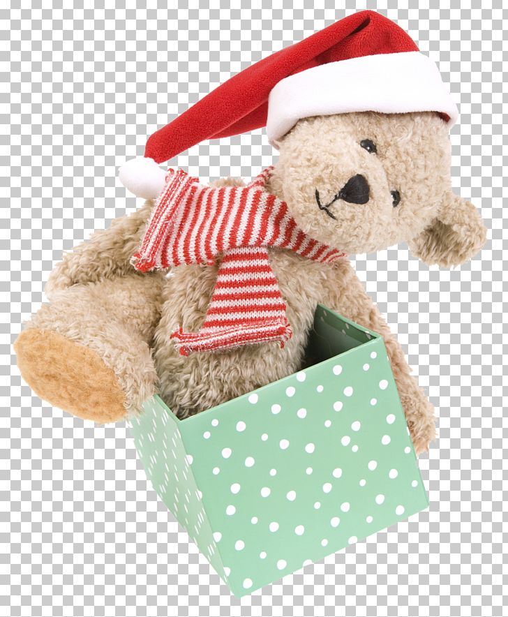Bear Santa Claus Gift Christmas PNG, Clipart, Animals, Bear, Christmas, Christmas Border, Christmas Decoration Free PNG Download