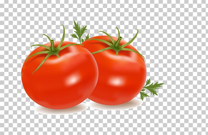 Cherry Tomato PNG, Clipart, Bush, Diet Food, Food, Free Content, Fruit Free PNG Download