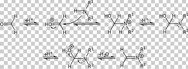 Dehydration Reaction Mannich Reaction Reaction Mechanism Amine Imine PNG, Clipart, Addition Reaction, Aldol Reaction, Amine, Ammonia, Angle Free PNG Download