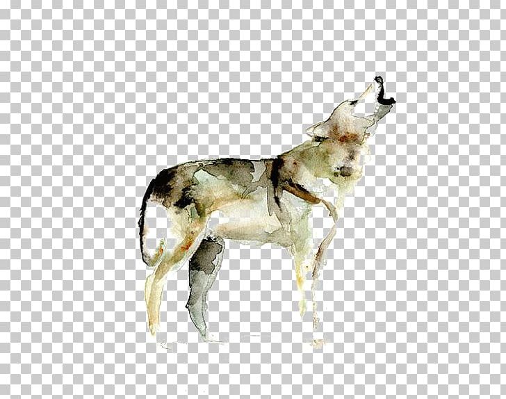 Gray Wolf Watercolor Painting Printmaking Drawing PNG, Clipart, Animals, Art, Carnivoran, Coyote, Dog Free PNG Download