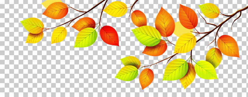 Leaf Yellow Plant PNG, Clipart, Leaf, Plant, Yellow Free PNG Download