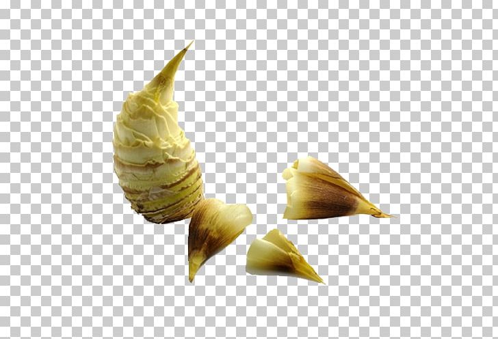 Bamboo Shoot Designer PNG, Clipart, Agricultural Products, Bamboo, Bamboo Leaves, Bamboo Shoot, Bamboo Shoots Free PNG Download