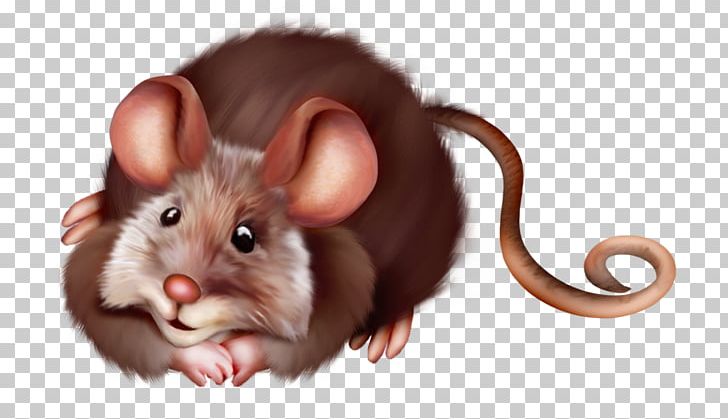Computer Mouse Rat PNG, Clipart, Animal, Blog, Child, Collage, Computer Icons Free PNG Download