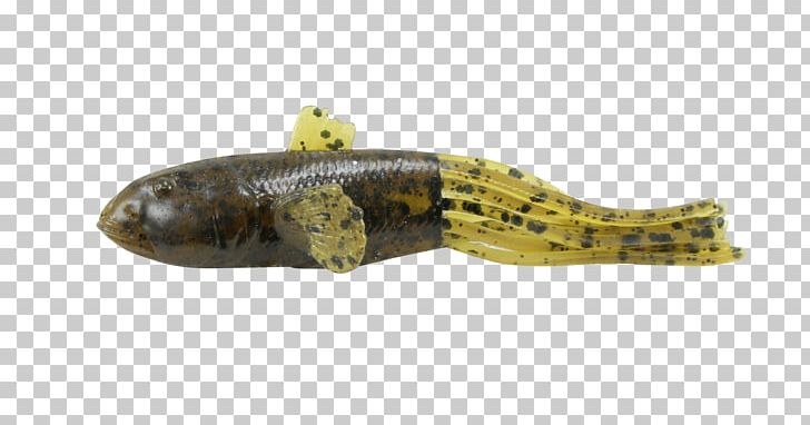 Fishing Baits & Lures Goby Fishing Tackle Reptile PNG, Clipart, 3d Computer Graphics, 3d Scanner, Amphibian, Animal Figure, Bait Free PNG Download