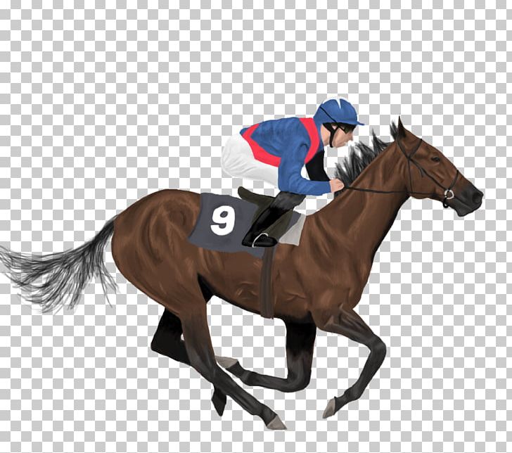 Icelandic Horse Jockey Horse Racing PNG, Clipart, Ambling Gait, Animal Sports, Bridle, Drawing, Equestrian Free PNG Download