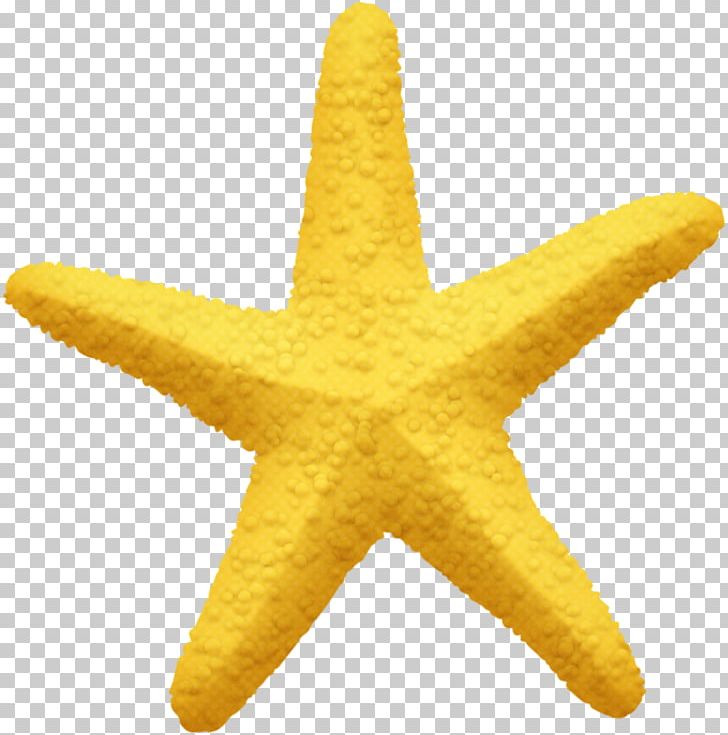 Starfish Pentagram Yellow Five-pointed Star PNG, Clipart, Animals, Beautiful, Beautiful Decoration, Decoration, Download Free PNG Download