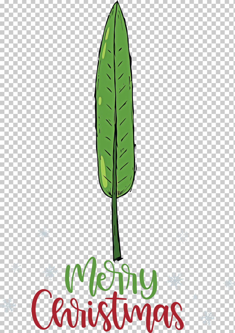 Merry Christmas PNG, Clipart, Biology, Leaf, Merry Christmas, Plants, Plant Structure Free PNG Download