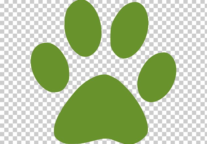 Natural Pet Care Center Veterinarian Pet Shop Clinique Vétérinaire PNG, Clipart, Animal Shelter, Apartment, Cat, Dog, Dog Grooming Free PNG Download