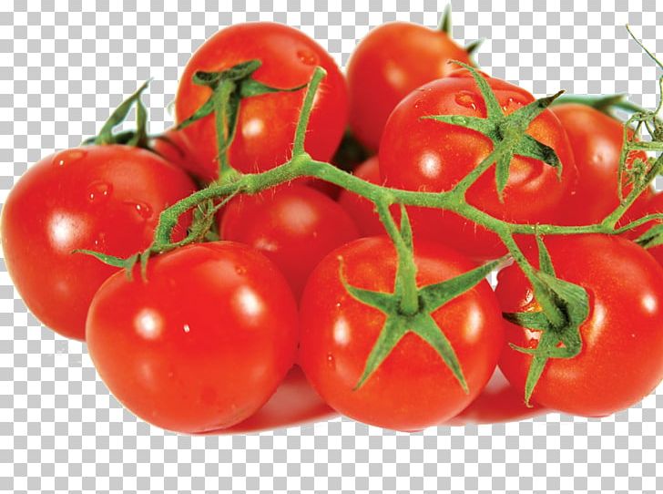 Tomato Vegetable Potato Food Fruit PNG, Clipart, Berry, Bush Tomato, Canned Tomato, Cherry, Cucumber Free PNG Download