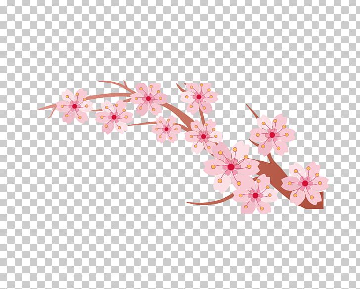 Cherry Blossom Branch Cerasus PNG, Clipart, Branches Vector, Cherry, Cherry Tree Branches, Cherry Vector, Christmas Tree Free PNG Download