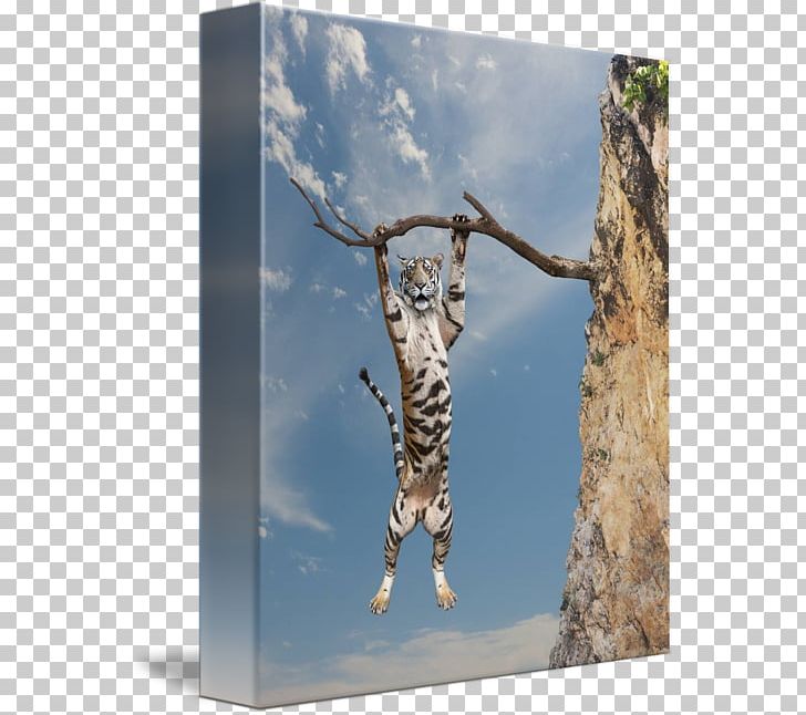 Ocelot Tiger Cat Gallery Wrap Canvas PNG, Clipart, Art, Big Cat, Big Cats, Canvas, Carnivoran Free PNG Download