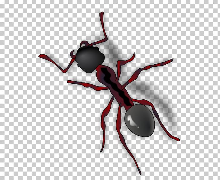 The Ant And The Grasshopper PNG, Clipart, Ant, Ant And The Grasshopper, Ant Colony, Arthropod, Black Garden Ant Free PNG Download
