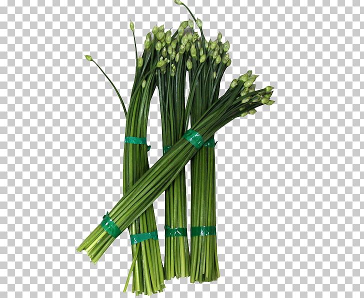 Allium Fistulosum Cabbage Vegetable Garlic Chives Sichuan Cuisine PNG, Clipart, Blue, Brassica Oleracea, Crunchy, Food, Fruit Free PNG Download