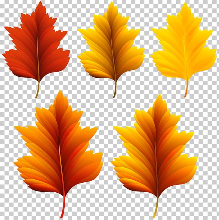 Autumn Leaf Color PNG, Clipart, Autumn, Autumn Leaf Color, Autumn Leaves, Clip Art, Com Free PNG Download