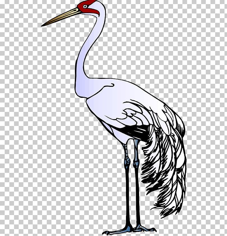 Red-crowned Crane Heron Stork PNG, Clipart, Animal, Art, Artwork, Beak, Bird Free PNG Download