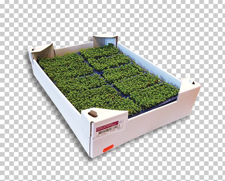 Roof Herb PNG, Clipart, Grass, Herb, Others, Plant, Roof Free PNG Download