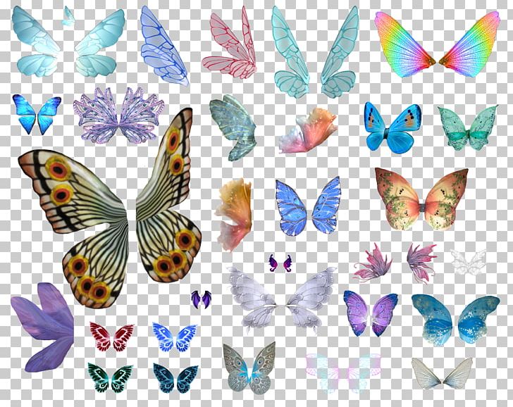 Butterfly PNG, Clipart, Birdwing, Brush Footed Butterfly, Butterflies And Moths, Butterfly, Com Free PNG Download