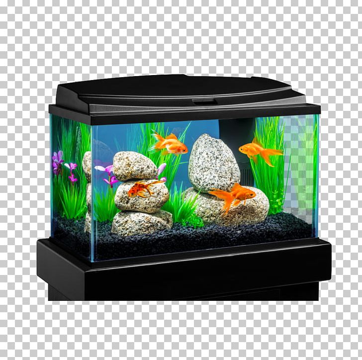 Goldfish Aquarium Tetra Crescent Kit Siamese Fighting Fish PNG, Clipart, Aquarium, Aquarium Decor, Aquarium Filters, Aquarium Fish Feed, Aquarium Lighting Free PNG Download