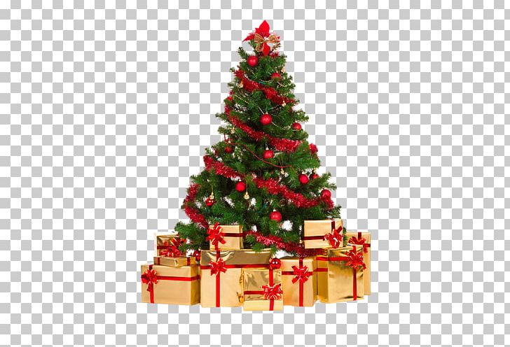 Christmas Tree Spruce Gift PNG, Clipart, Christmas, Christmas Decoration, Christmas Ornament, Christmas Tree, Conifer Free PNG Download