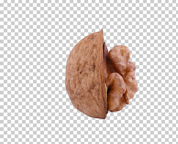 Walnut Stock Photography Wisgoon PNG, Clipart, Auglis, Depositphotos, Drupe, Fruit Nut, Gratis Free PNG Download