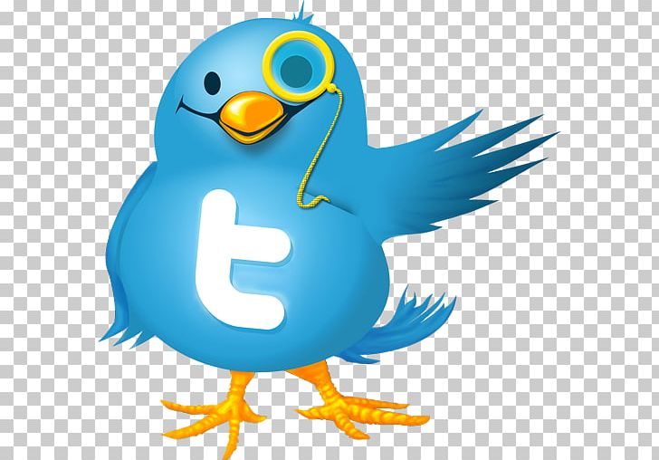 Computer Icons Social Media Twitter PNG, Clipart, Artwork, Beak, Bird, Blog, Button Free PNG Download