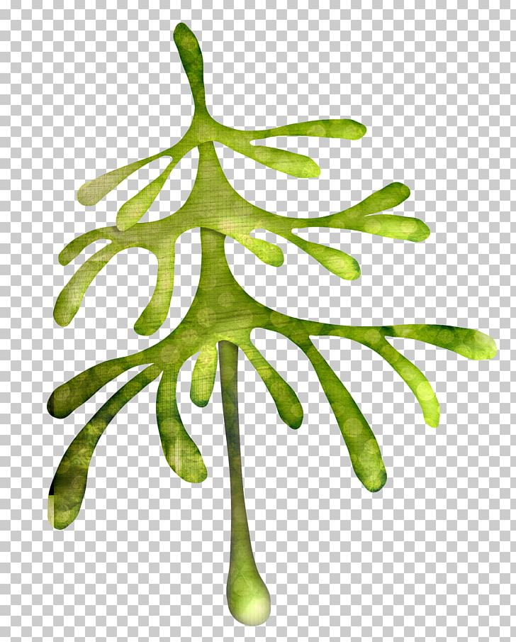 Green Herbaceous Plant PNG, Clipart, Adobe Illustrator, Background Green, Branch, Decoration, Download Free PNG Download