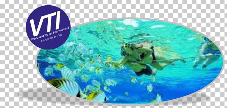 Tulamben Sharm El Sheikh Snorkeling Scuba Diving USAT Liberty PNG, Clipart, Aqua, Beach, Diving Snorkeling Masks, Hotel, Ko Chang Free PNG Download