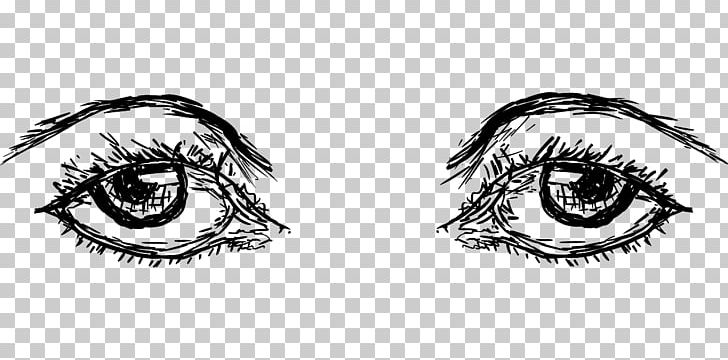 Eyebrow Human Eye Drawing PNG, Clipart, Angle, Artwork, Automotive Design, Black And White, Circle Free PNG Download