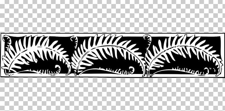 Black And White Fern Drawing PNG, Clipart, Black, Black And White, Border, Botanical Illustration, Decoration Free PNG Download
