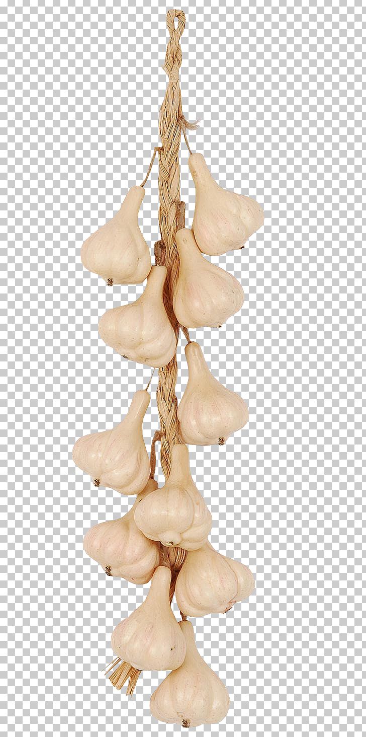 Garlic Food Vegetable Icon PNG, Clipart, Bunch Of Garlic, Cartoon Garlic, Chili Garlic, Christmas Decoration, Computer Icons Free PNG Download