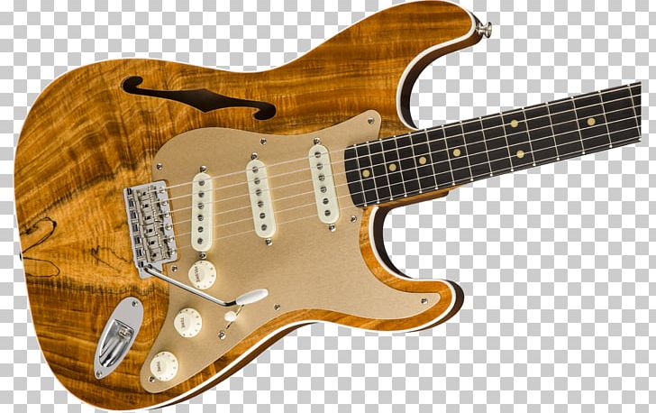 Fender Stratocaster Fender Telecaster Thinline Fender Custom Shop Fender Musical Instruments Corporation PNG, Clipart, Acoustic Electric Guitar, Acoustic Guitar, Artisan, Bass Guitar, Fingerboard Free PNG Download