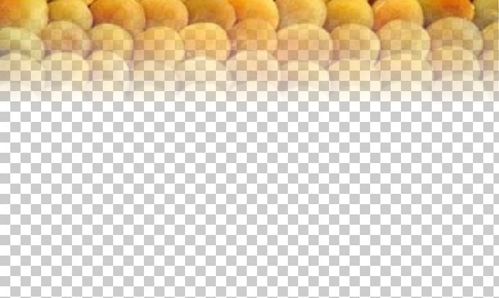 Malatya Dried Apricot Cooking Apricot Kernel PNG, Clipart, Apricot, Apricot Kernel, Bowling Pin, Cooking, Cucurbita Free PNG Download