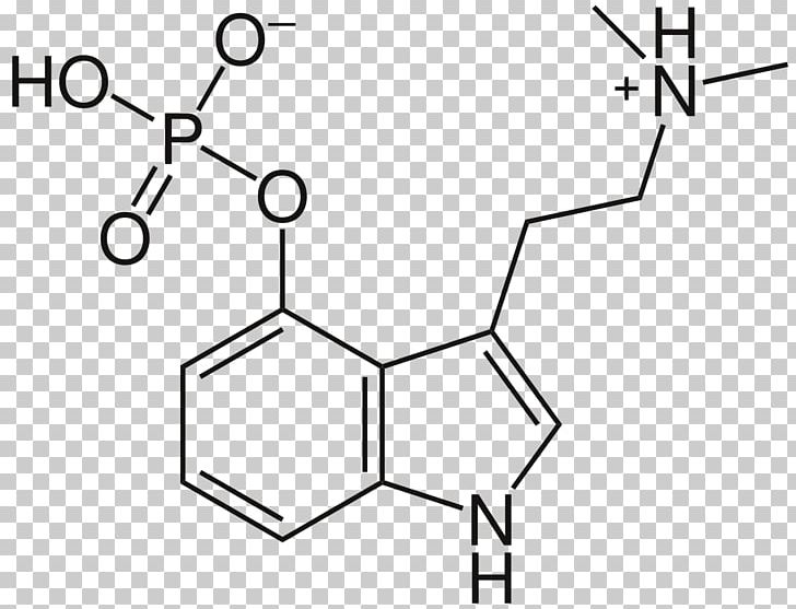 Psilocybin Mushroom Psychedelic Drug Molecule Liberty Cap PNG, Clipart, Angle, Chemical Substance, Chemistry, Drug, Hand Free PNG Download