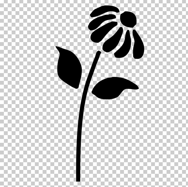 Stencil Painting Mural Flower PNG, Clipart, Art, Black And White, Branch, Common Daisy, Daisy Free PNG Download
