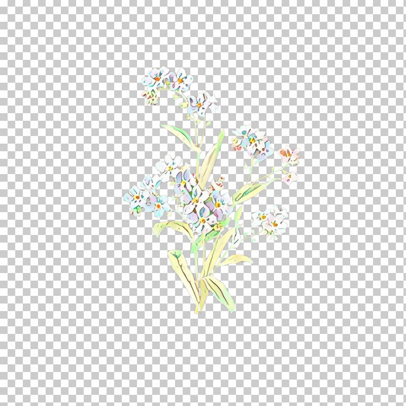 White Flower Plant Pedicel Cut Flowers PNG, Clipart, Cut Flowers, Flower, Pedicel, Plant, White Free PNG Download