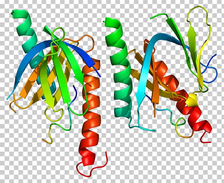 Amyloid Precursor Protein DLG1 DLG2 Amyloid Beta CASK PNG, Clipart, Amyloid, Amyloid Beta, Amyloid Precursor Protein, Cask, Dlg1 Free PNG Download