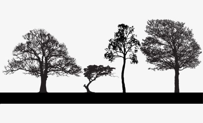 Trees Silhouette PNG, Clipart, Black, Lines, Material, Silhouette Clipart, Trees Free PNG Download