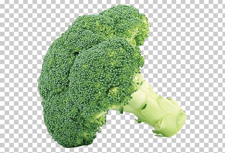 Broccoli Cabbage Vegetable Cauliflower PNG, Clipart, Bell Pepper, Brassica Oleracea, Broccoli, Cabbage, Cauliflower Free PNG Download
