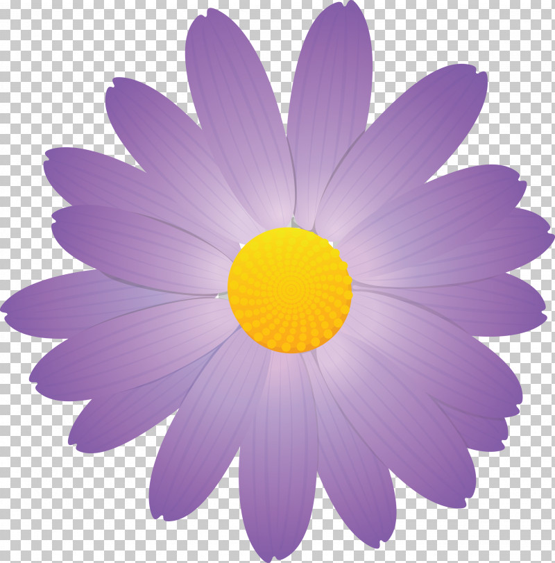 Marguerite Flower Spring Flower PNG, Clipart, Aster, Camomile, Chamomile, Daisy, Daisy Family Free PNG Download