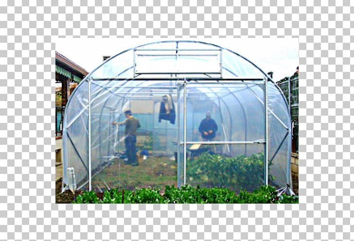 Greenhouse Market Garden Horticulture Tunnel PNG, Clipart, Canopy, Garden, Greenhouse, Horticulture, Huerto Free PNG Download