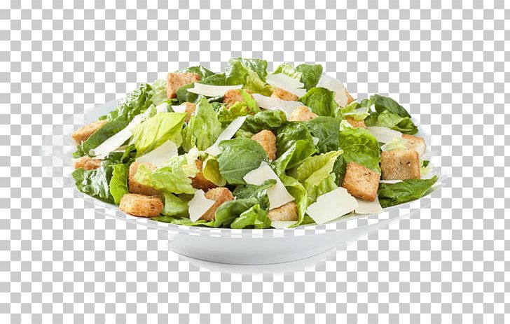 Caesar Salad Pizza Chicken Salad Tuna Salad Mashed Potato PNG, Clipart, Cheese, Chicken Meat, Chicken Salad, Fattoush, Food Free PNG Download