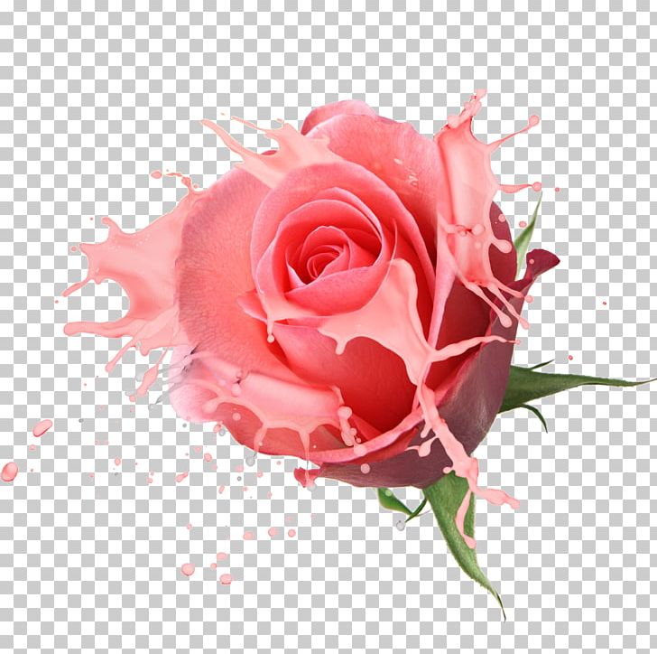 Flower Bouquet Rose Drawing PNG, Clipart, Color, Computer Wallpaper, Cut, Floribunda, Flower Free PNG Download