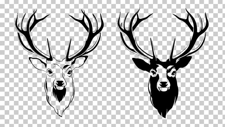 Red Deer Antler Moose PNG, Clipart, Animals, Antler, Black And White, Deer, Design Free PNG Download