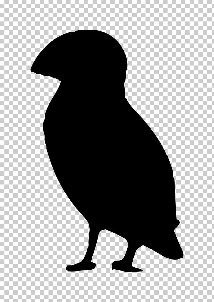 Silhouette Puffin PNG, Clipart, Animals, Beak, Bird, Black And White, Computer Icons Free PNG Download