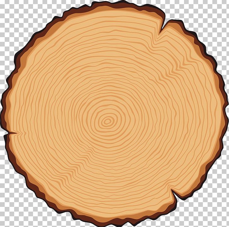 Tree Trunk Cross Section Illustration PNG, Clipart, Aastarxf5ngad, Background, Bark, Circle, Civil Free PNG Download
