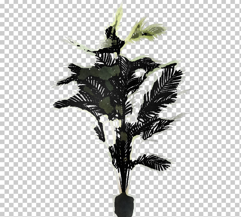 Palm Tree PNG, Clipart, Arecales, Artificial Flower, Branch, Feather, Flower Free PNG Download