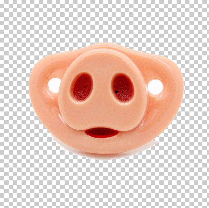 Domestic Pig Nose Pacifier Infant PNG, Clipart, Domestic Pig, Ear, Encapsulated Postscript, Euclidean Vector, Face Free PNG Download