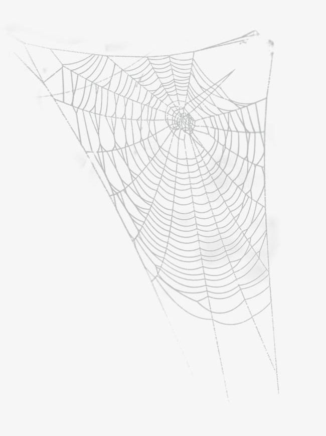 Halloween Cobwebs PNG, Clipart, Cartoon, Cartoon Hand Drawing, Cobweb, Cobweb Decoration, Cobwebs Clipart Free PNG Download