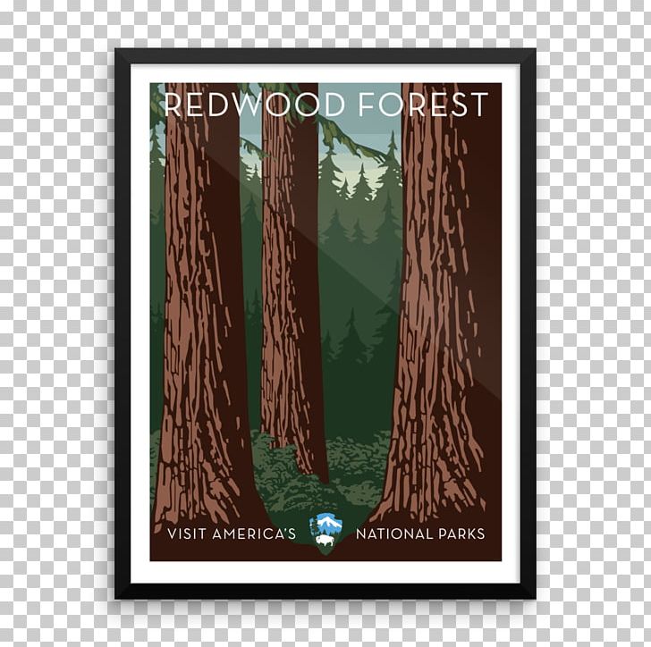 Redwood National And State Parks Yellowstone National Park Grand Canyon National Park Coast Redwood PNG, Clipart, Canvas Print, Coast Redwood, Grand Canyon National Park, Louis Sullivan, M083vt Free PNG Download